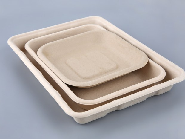 Food Trays